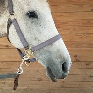 Meet your Posher, Eve